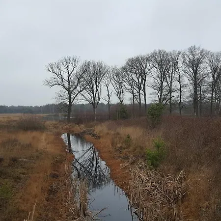 De Stijl Bed & Breakfast