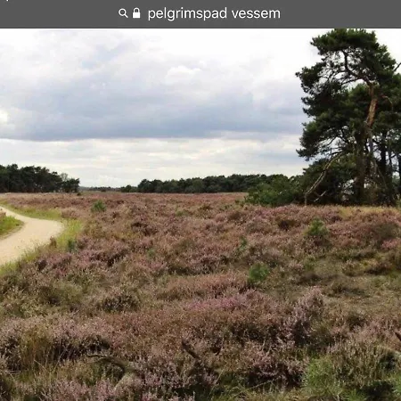 De Stijl