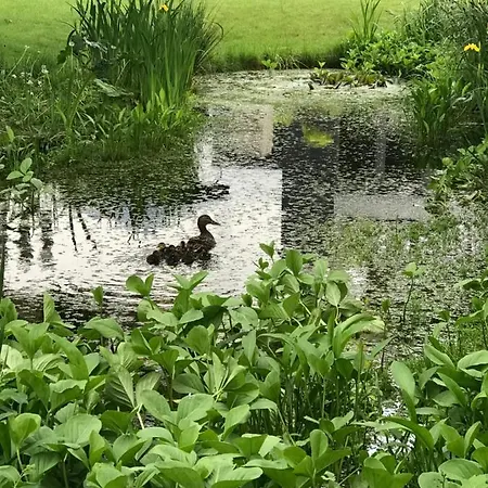 De Stijl Bed & Breakfast