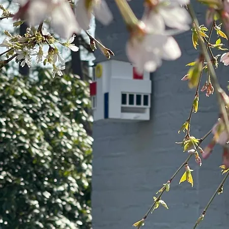 Bed & Breakfast De Stijl