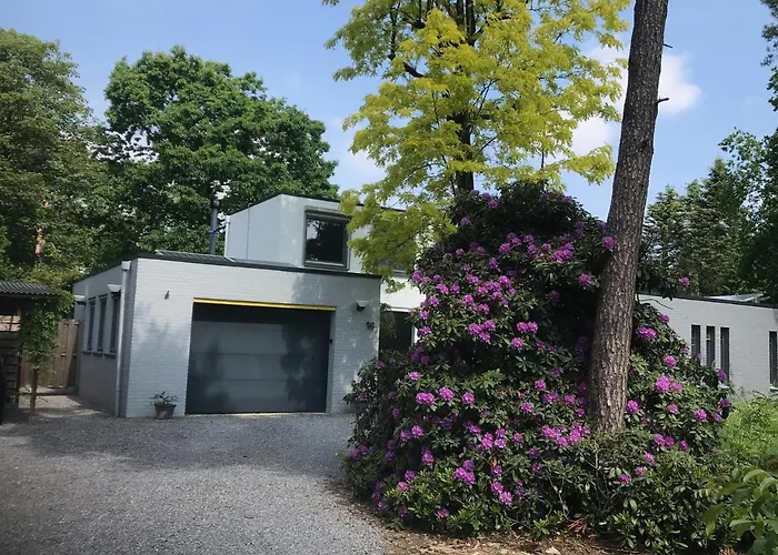 Oda ve Kahvaltı De Stijl Vessem