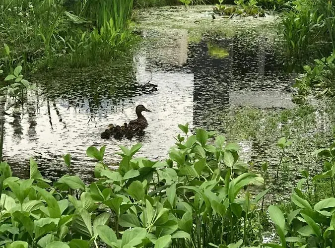 De Stijl Frühstückspension